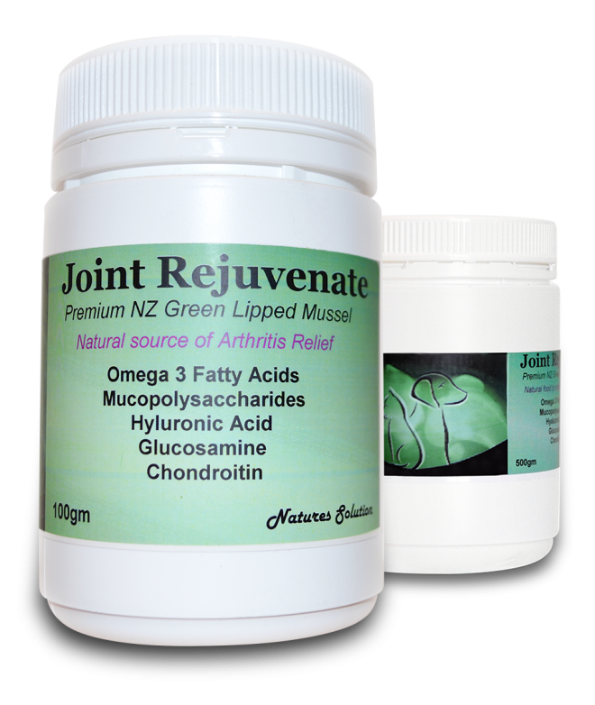 Natural Joint Supplement for Dogs with Arthritis and Joint Pain Relief