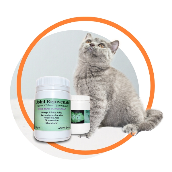 Joint Rejuvenate for Cats