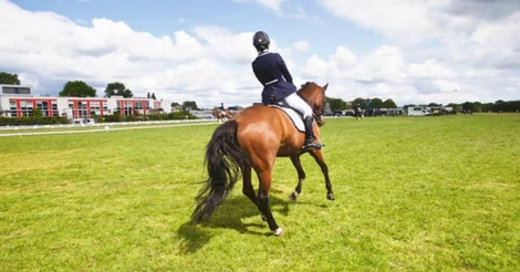 7 Helpful Clues That Indicate Arthritis May Be Causing Your Horse Pain