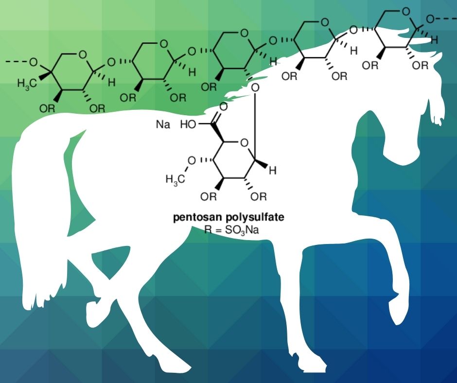 Pentosan Polysulphate - A Breakthrough Treatment for Osteoarthritis