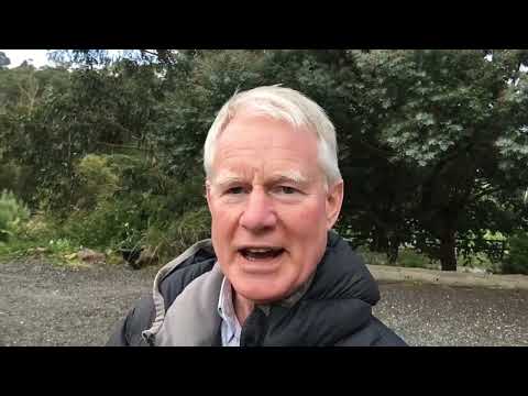 Thumbnail for Joint Rejuvenate or Antinol?