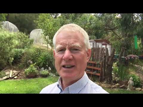 Thumbnail for Joint Rejuvenate is Compatible with Meloxicam