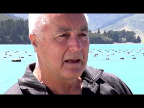 Thumbnail for New Zealand - Farming the Green Lipped Mussel