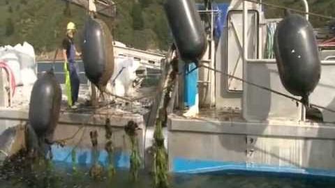 Marine Farming Association - New Zealand