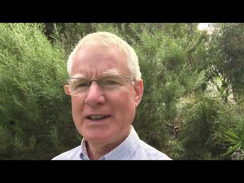 Thumbnail for Therapeutic Effect of Green Lipped Mussel Shellfish